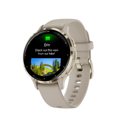 GARMIN Smartwatch Venu 3S French Gray Soft Gold (010-02785-02)