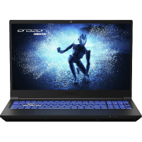 MEDION Gaming laptop ERAZER Deputy P50 Intel Core i7-13700HX (MD62519)