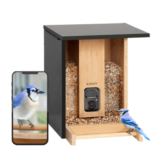 BIRDFY Bird watch camera met voeder en zonnepaneel Bamboo Zwart (EPPAMBNI8402110)