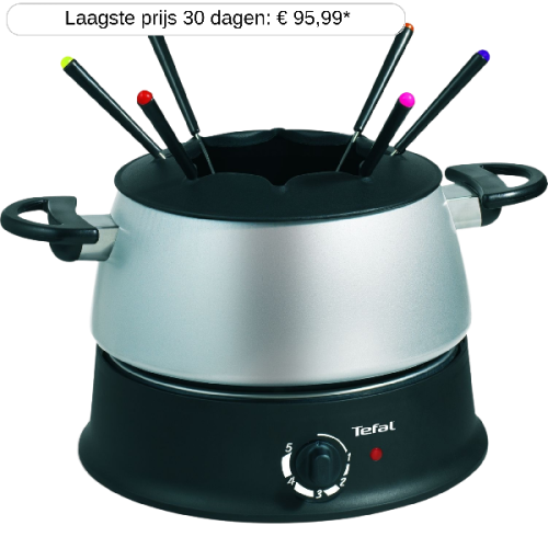 TEFAL Fondue Silver (EF3000)