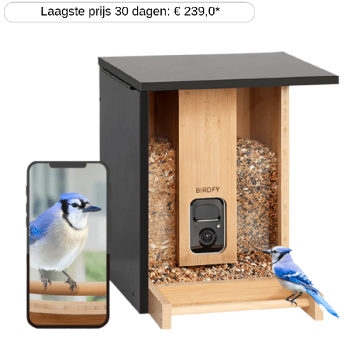 BIRDFY Bird watch camera met voeder en zonnepaneel Bamboo Zwart (EPPAMBNI8402110)