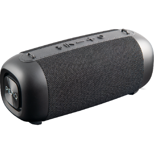 PEAQ Draagbare luidspreker FM/DAB+ Zwart (PPA 405)