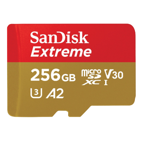 SANDISK Geheugenkaart Extreme microSDXC 256 GB (2025833)