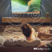 PHILIPS 32PHS6000/11 - HD ready - Led-tv - 32 inch - 2025