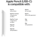 APPLE Stylus USB-C (MUWA3ZM/A)
