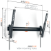 VOGELS Muurbeugel Tilt 40" - 77" (TVM 3615)