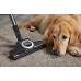 MIELE Blizzard CX1 Cat&Dog (SKCF5) - Stofzuiger - Met Zakloze technologie - Rood