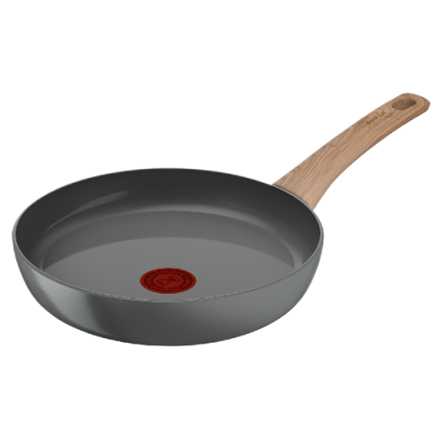 TEFAL Koekenpan Renew 24 cm (C4290423)