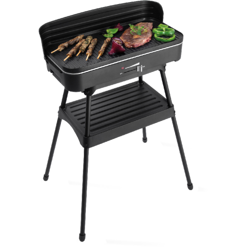 FRITEL Barbecue (BBQ 2246)