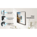 ISY TV muurbeugel 19" tot 48" VESA max. 200 x 200 mm (ITV 1000)