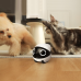 ENABOT Rola Mini Pet Campanion Robot- EU Speelgoed