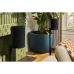SONOS Era 100 SL Multiroom-speaker Zwart