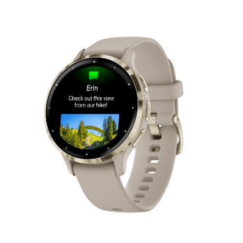 GARMIN Smartwatch Venu 3S French Gray Soft Gold (010-02785-02) Smartwatch