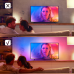 PHILIPS HUE Hue Ledstrip Lightstrip Play Gradient 55" (78475100)
