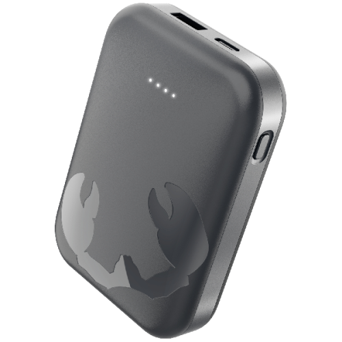 FRESH N REBEL Powerbank 10.000 mAh 20W PD USB-C Grijs (2PBP10000SG)