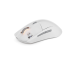 STEELSERIES Gaming Muis Rival 3 Wireless Gen 2 White