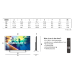 PHILIPS 50PUS8000/12 - Ultra HD 4K - Led-tv - 50 inch - 2025
