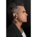 PEAQ PTW-4000-RW In-ear Draadloze oordopjes Zwart