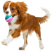 EASY PET Interactieve bal medium oplaadbaar 800mAh - IMPPA5 Interactieve bal
