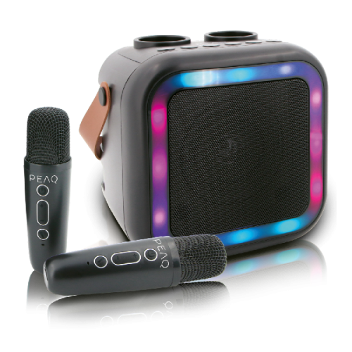 PEAQ PKM-100 Karaoke Machine Zwart