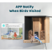 BIRDFY Bird watch camera met voeder en zonnepaneel Bamboo Zwart (EPPAMBNI8402110)