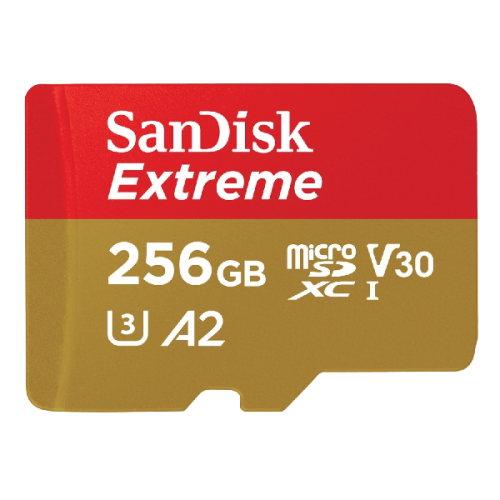 SANDISK Geheugenkaart Extreme microSDXC 256 GB (2025833)