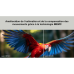 PEAQ 400683 - Ultra HD 4K - QLED-tv - 43 inch - 2025