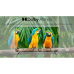PEAQ 400683 - Ultra HD 4K - QLED-tv - 43 inch - 2025